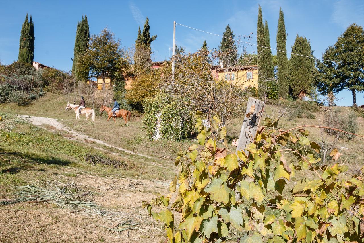 Podere Dell'Anselmo Montespertoli Exterior foto